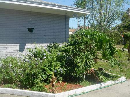 front flower bed