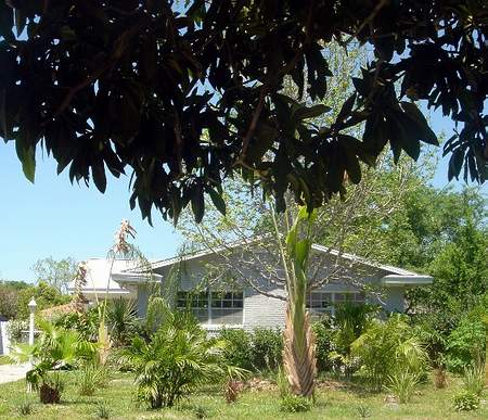 front view - under tree