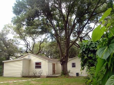 Ohio - Rear view - new pic