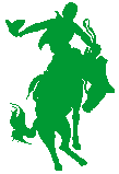 rodeo horse