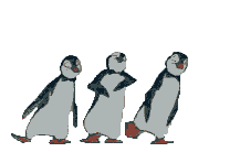 the dancing penquins