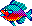 little fish