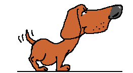 Diablodog's Acro Pets Page!