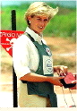 picture: Princess Diana in Bosnia mine field