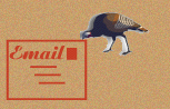 Email Me
