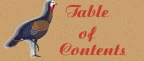 Table of Contents