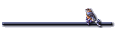 bar 1