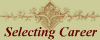 Selecting Career