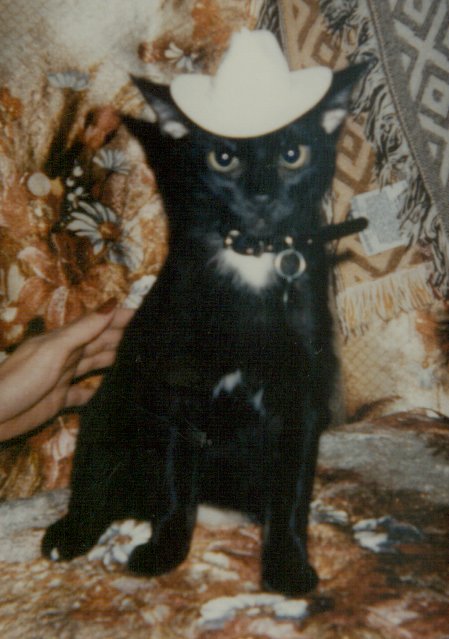 Cowboy Buddie