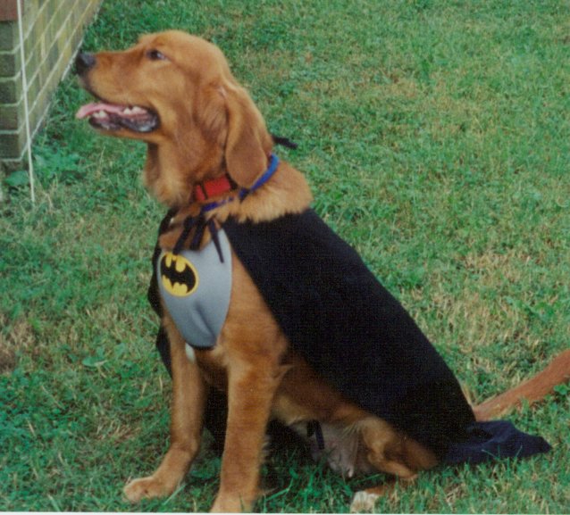 Batgirl Stormie