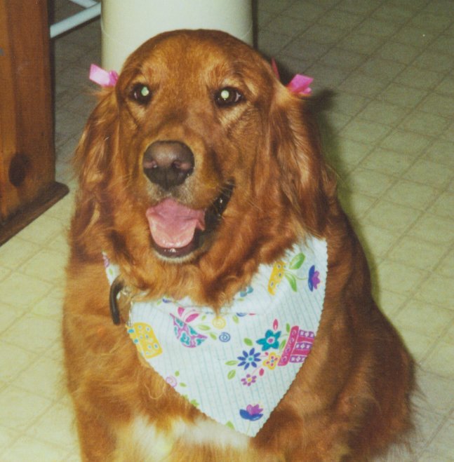 Stormie