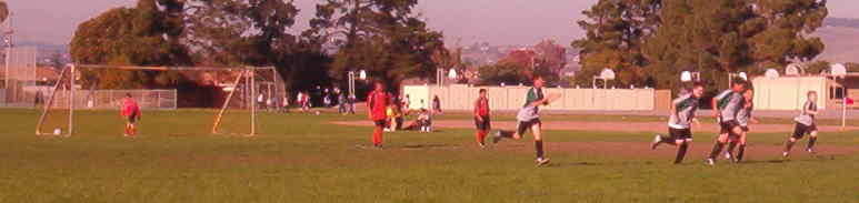 CELEBRATING A GOAL BY BRYAN