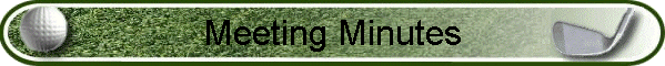 Meeting Minutes