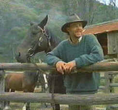 The Silver Brumby (Stallion)