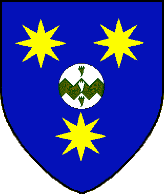 Constellation Banner