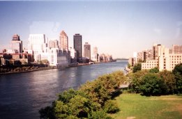 Roosevelt Island