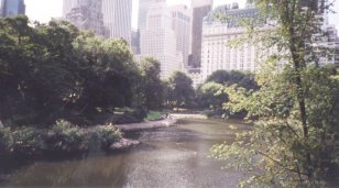 When in the park, you can't tell at all that you're really in New York City