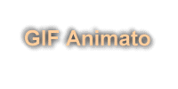 ani2.gif