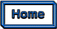 Zany Designs Home