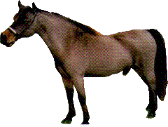 bayboss1.gif (8675 bytes)