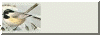ckdeeclip.gif (17978 bytes)