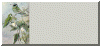 grnclip.gif (52022 bytes)