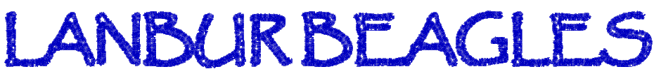 lantitle.gif (12461 bytes)