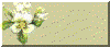 magbkg.gif (164911 bytes)