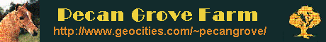 Pecan Grove banner