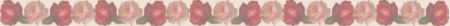 rosebar1.gif (10198 bytes)