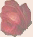 rosebtn2.gif (1797 bytes)