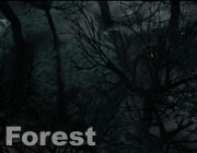 forest_mod_icon.jpg (10566 bytes)