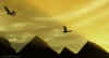 hawks2c1_0266.jpg (97070 bytes)
