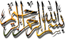 Furious Sparks(transparent)
