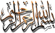 Reflected Rays (transparent)