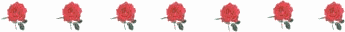7roses.gif (2466 bytes)