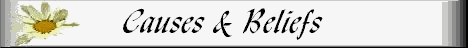 Believe.gif (3370 bytes)
