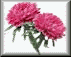 crntns.gif (2170 bytes)