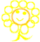 dais-dnc2.gif (2884 bytes)