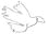 dove-wht.gif (1244 bytes)