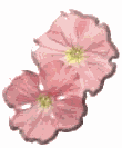 flower3d.gif (3816 bytes)