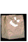 ghst-blk11.gif (2983 bytes)