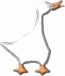 goos-hnk.gif (2828 bytes)