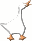 goos-hnk2.gif (5273 bytes)
