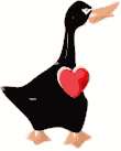 gse-blnkhrt9b.gif (3288 bytes)