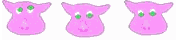piggy3.gif (3153 bytes)