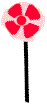 pnwl.gif (3030 bytes)