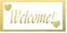 sign-wlcm25.gif (1925 bytes)