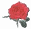 single-rose3.gif (1359 bytes)