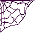 spdrweb1.gif (2242 bytes)